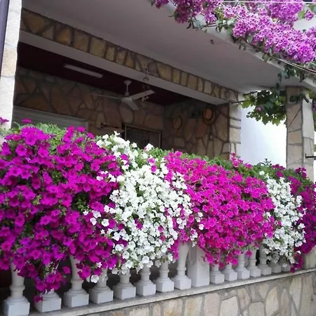 Appartement Dobri
